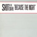 Shot In The Dark : Because The Night (12")