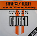 Steve "Silk" Hurley : Jack Your Body (12", Single, Pic)