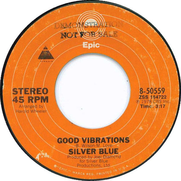 Silver Blue (2) : Tennessee Waltz  (7")
