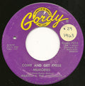 Martha Reeves & The Vandellas : Come And Get These Memories / Jealous Lover (7", Single, RE)