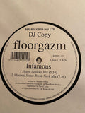 Floorgazm : Infamous / Vicious House (12", Promo)