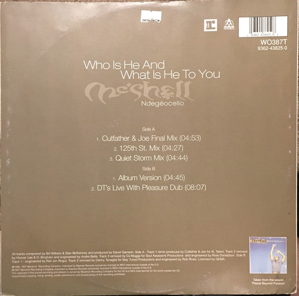 Me'Shell NdegéOcello : Who Is He And What Is He To You (12")