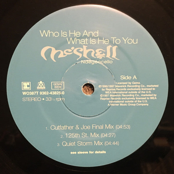 Me'Shell NdegéOcello : Who Is He And What Is He To You (12")