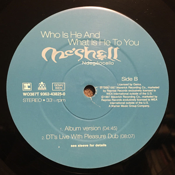 Me'Shell NdegéOcello : Who Is He And What Is He To You (12")