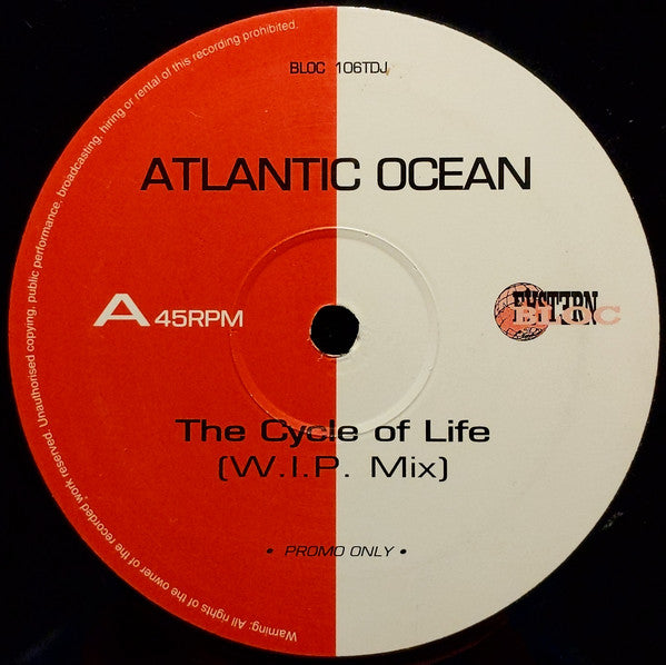 Atlantic Ocean : The Cycle Of Life (12", Promo)