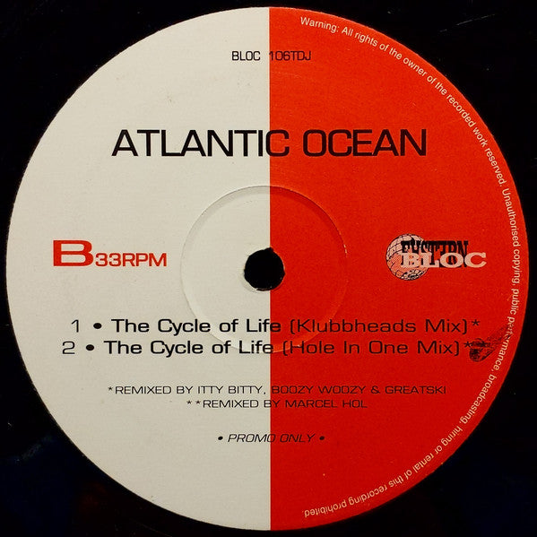 Atlantic Ocean : The Cycle Of Life (12", Promo)