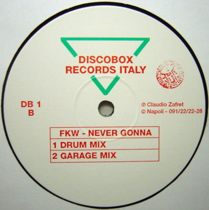 FKW (2) : Never Gonna (Give You Up) (12")