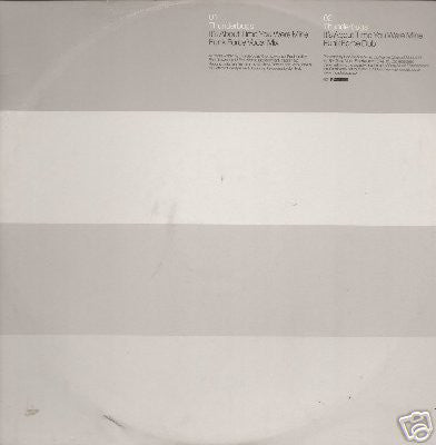 Thunderbugs : It's About Time You Were Mine (The Funk Force Remixes) (12", Promo)