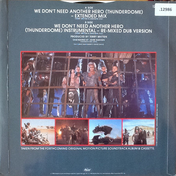 Tina Turner : We Don't Need Another Hero (Thunderdome) - Extended Mix (12", Single)