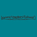 Supreme Vagabond Craftsman : A Cloud Punched Me (10")