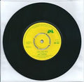 Neil Diamond : Play Me  (7")