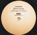 Luminate : What A Feeling (12")