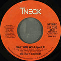 The Isley Brothers : Say You Will (7", Styrene)