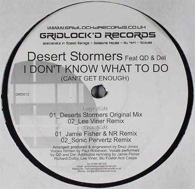 Desert Stormers : I Don't Know What To Do (Can't Get Enough) (12")