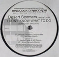 Desert Stormers : I Don't Know What To Do (Can't Get Enough) (12")