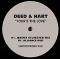 Deed (2) & Hart (2) : Your'e The Love (12", Ltd, Promo)
