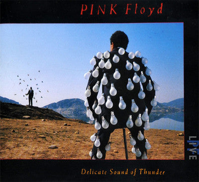 Pink Floyd : Delicate Sound Of Thunder (2xCD, Album, RE, IMS)