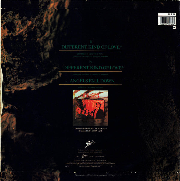 The Flaming Mussolinis : Different Kind Of Love (12", Single)