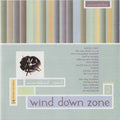 Various : The Wind Down Zone Volume 2 (CD, Comp)