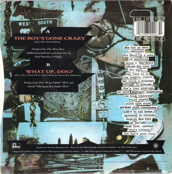 Was (Not Was) : The Boys Gone Crazy (7", Single)