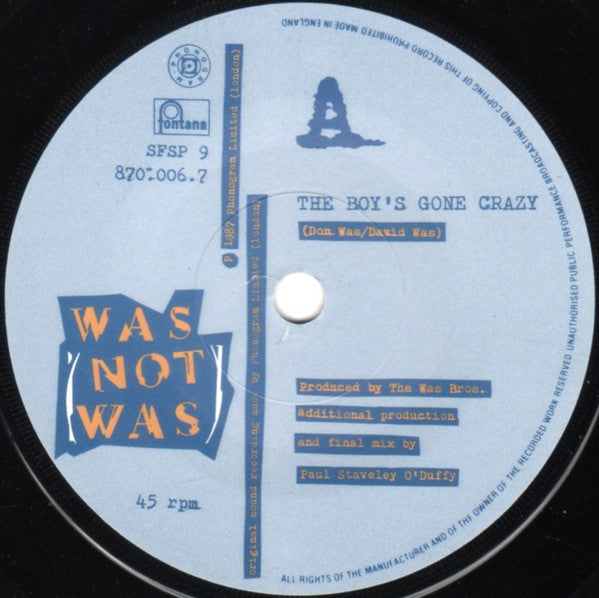 Was (Not Was) : The Boys Gone Crazy (7", Single)