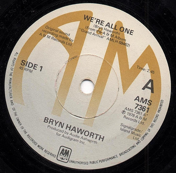 Bryn Haworth : We're All One (7", Single)