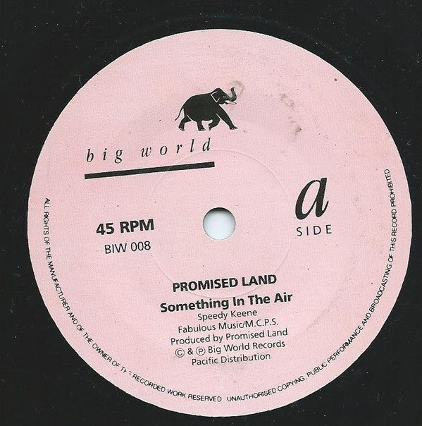 Promised Land : Something In The Air (7")