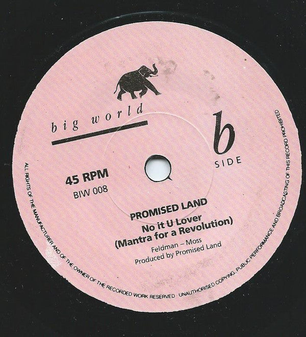 Promised Land : Something In The Air (7")