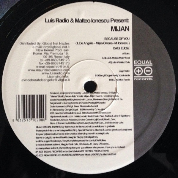 Luis Radio & Matteo Ionescu Present: Mijan : Because Of You (12")