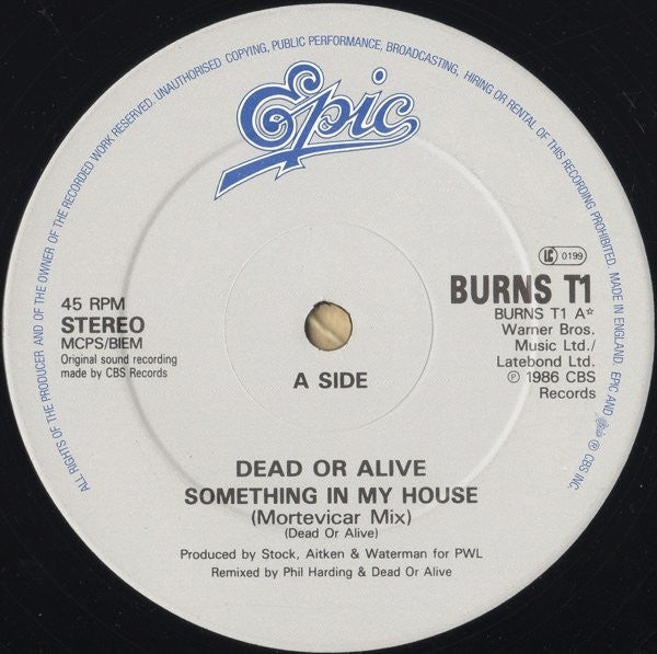 Dead Or Alive : Something In My House (Mortevicar Mix) (12", Single)