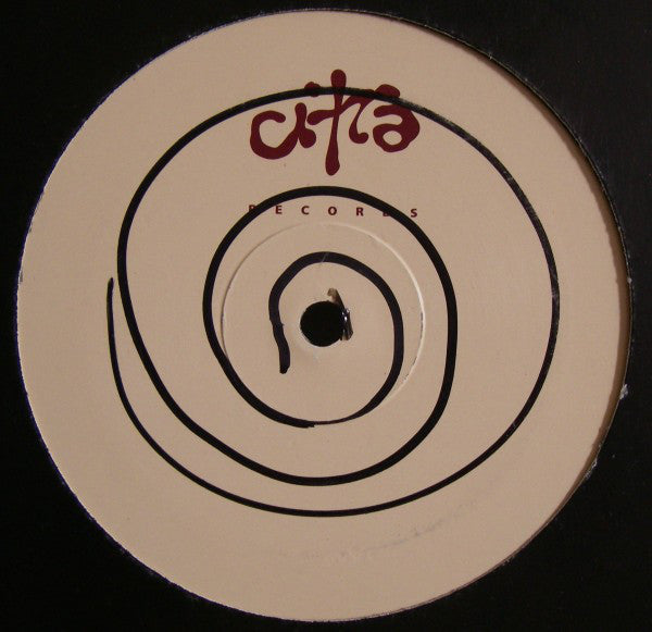DJ Professor : Rockin' Me (12", Single)