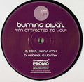 Burning Divas : I'm Attracted To You (12", Promo)