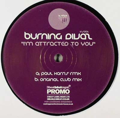 Burning Divas : I'm Attracted To You (12", Promo)