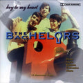The Bachelors : Key To My Heart (CD, Comp)