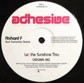 Richard F* Feat Samantha Stocks : Let The Sunshine Thru (12")