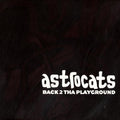 Astrocats : Back 2 Tha Playground (12")