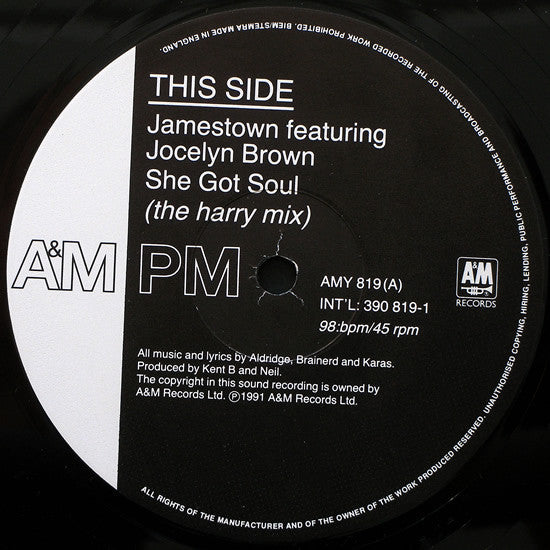 Jamestown Featuring Jocelyn Brown : She Got Soul (12", Single)