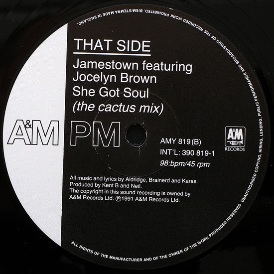 Jamestown Featuring Jocelyn Brown : She Got Soul (12", Single)