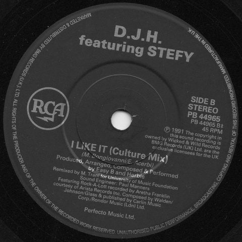 DJ H. Feat. Stefy : Move Your Love (7", Single)