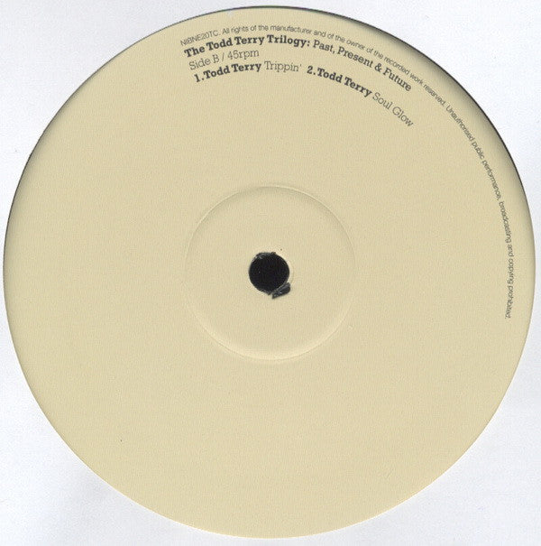 The Todd Terry Project / Todd Terry : The Todd Terry Trilogy: Past, Present & Future (12")