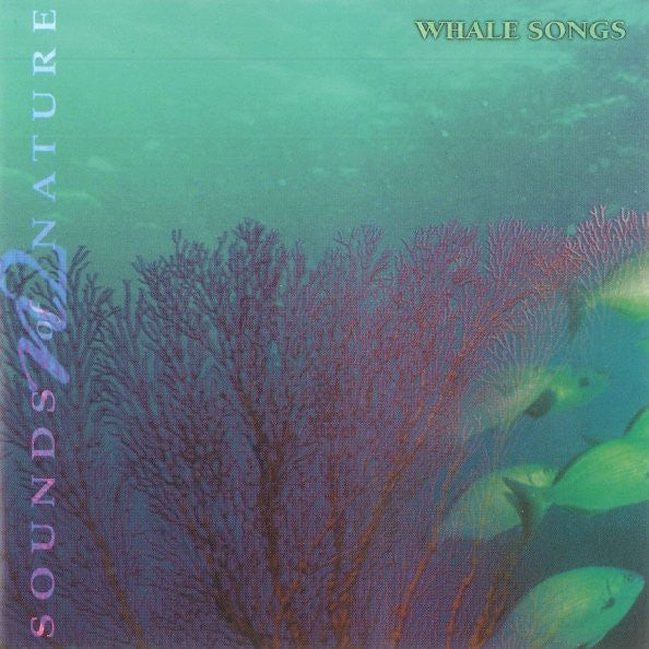 Paul Rayner-Brown : Whale Songs - Sounds Of Nature (CD, Album)