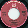 New Birth : Grandaddy (7", Styrene)