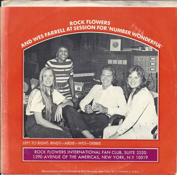 Rock Flowers : Number Wonderful (7", Single)