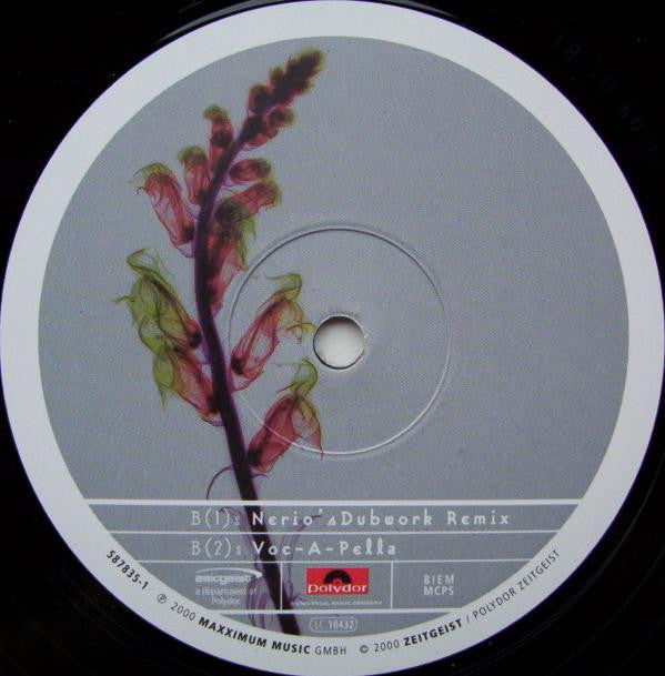Spike : Never Gonna Give You Up (Rmx) (12")