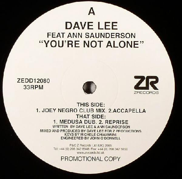 Dave Lee Feat Ann Saunderson : You're Not Alone (12", Promo)