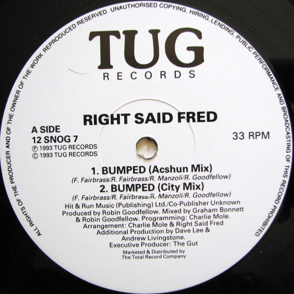 Right Said Fred : Bumped (12")