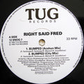 Right Said Fred : Bumped (12")