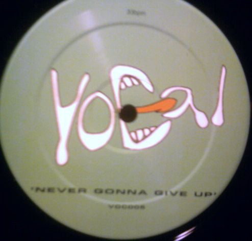 The Miami Collective : Never Gonna Give Up (12")