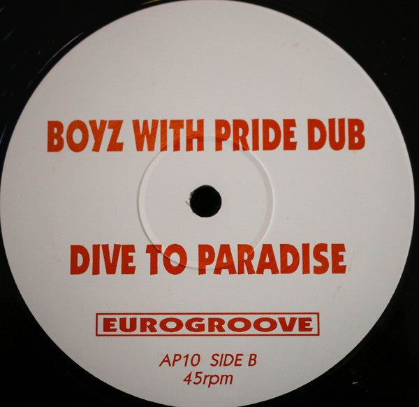 Eurogroove : Dive To Paradise (2x12", Promo)