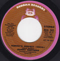 Johnny Northern : Nobody's Perfect (7", Single, Promo)